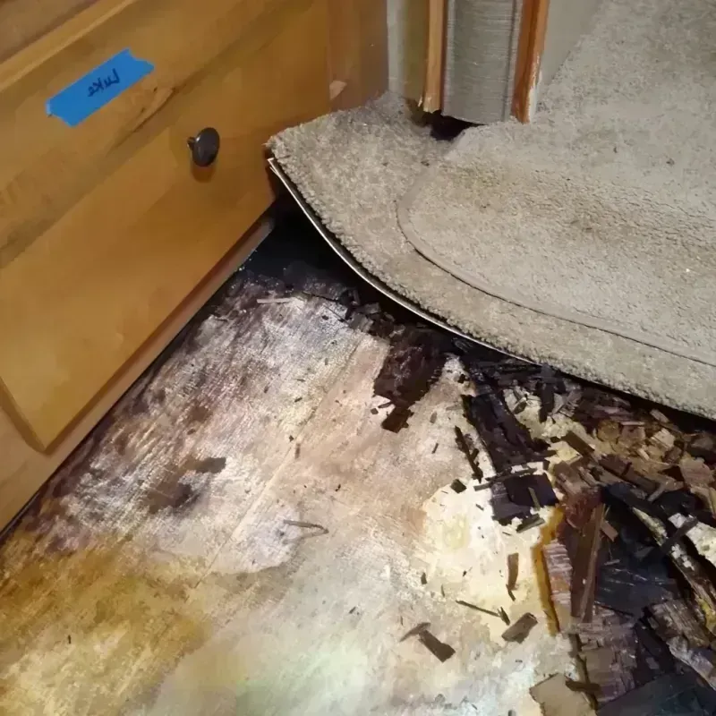 Wood Floor Water Damage in Neptune Beach, FL